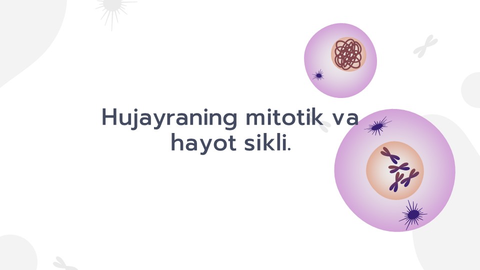 Hujayraning mitotik va hayot sikli_main Hujayraning mitotik va hayot sikli