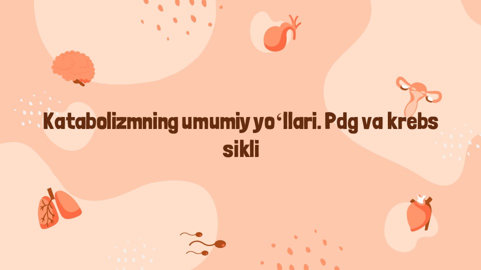 Katabolizmning Umumiy Yo'llari va Krebs Sikli_main Katabolizmning Umumiy Yo'llari va Krebs Sikli