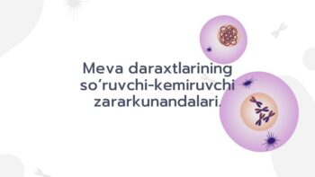 Meva daraxtlari zararkunandalari so'ruvchi kemiruvchi