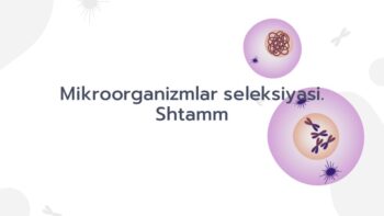 Mikroorganizmlar seleksiyasi shtammlari