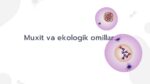 Muhit va Ekologik Omillar_main