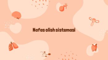 Nafas olish sistemasi amaliy mashgulot