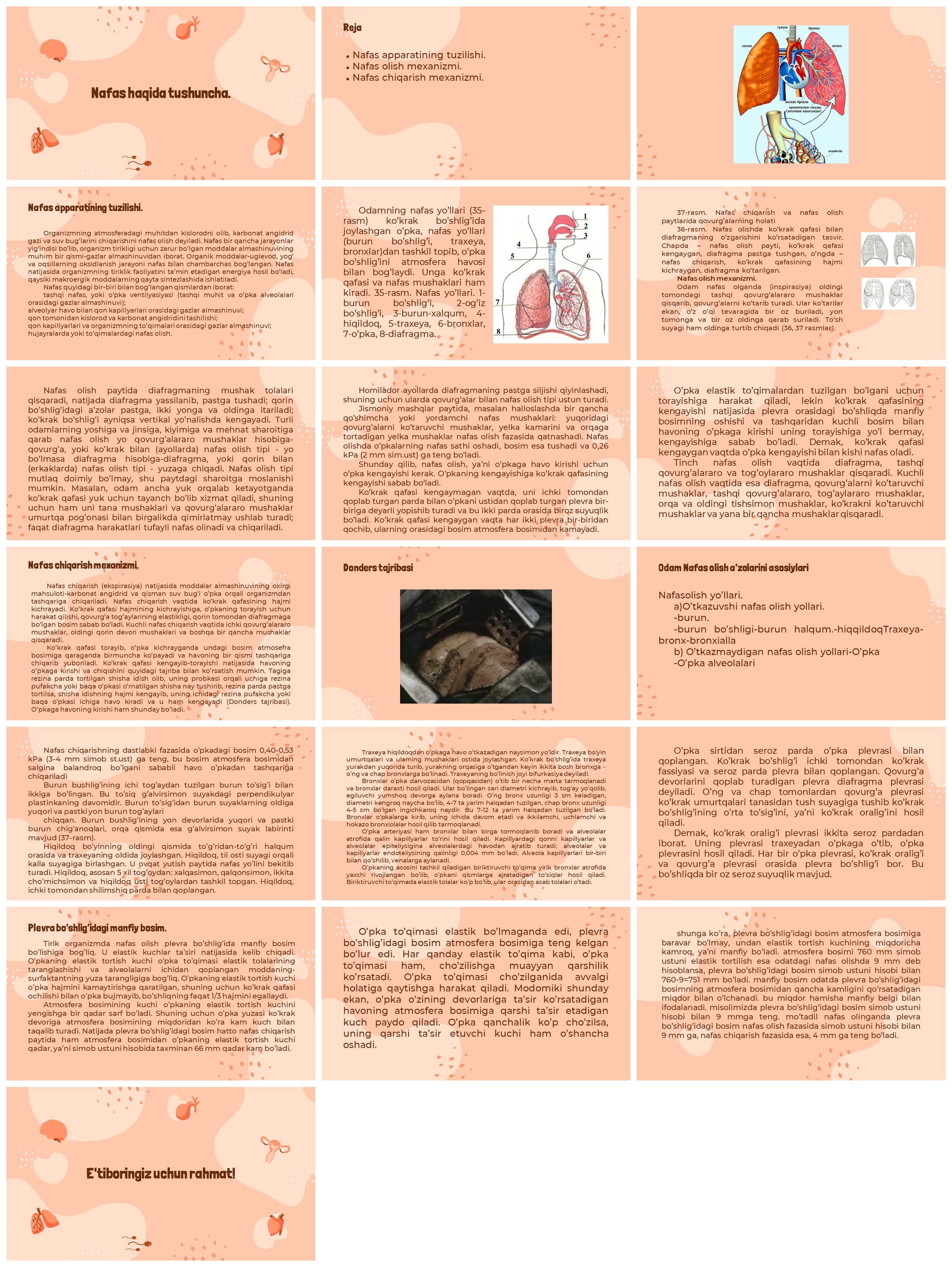 Nafas olish tizimi tuzilishi va mexanizmi
