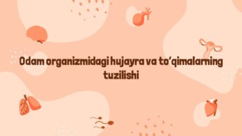 Odam organizmidagi hujayra va to'qimalar tuzilishi