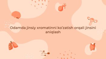 Odamda jinsiy xromatinni kuzatish orqali jinsni aniqlash