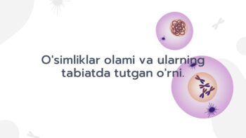 O'simliklar olami va tabiatdagi o'rni