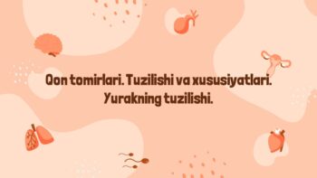 Qon tomirlari va yurak tuzilishi