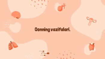 Qonning vazifalari