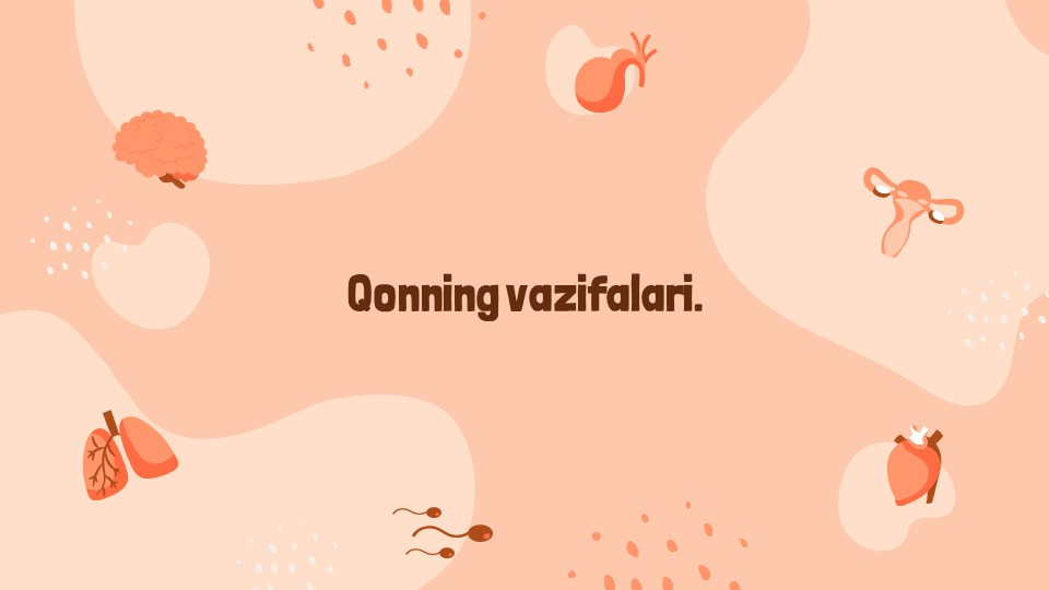 Qonning vazifalari_main Qonning vazifalari