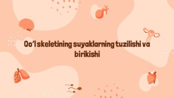 Qo‘l skeleti suyaklari tuzilishi va birikishi