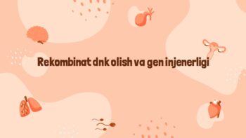 Rekombinat DNK va gen injenerligi