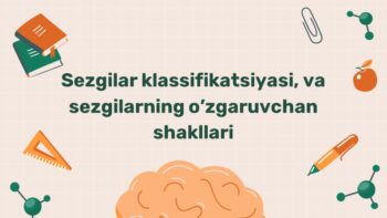 Sezgilar klassifikatsiyasi va idrok shakllari