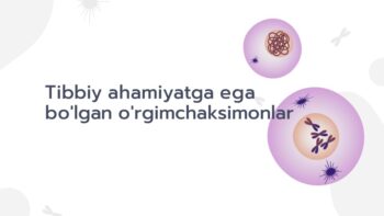Tibbiy ahamiyatga ega o'rgimchaksimonlar