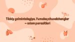 Tibbiy gelmintologiya yumaloq chuvalchanglar parazitlari
