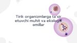 Tirik organizmlarga ta’sir etuvchi ekologik omillar_main