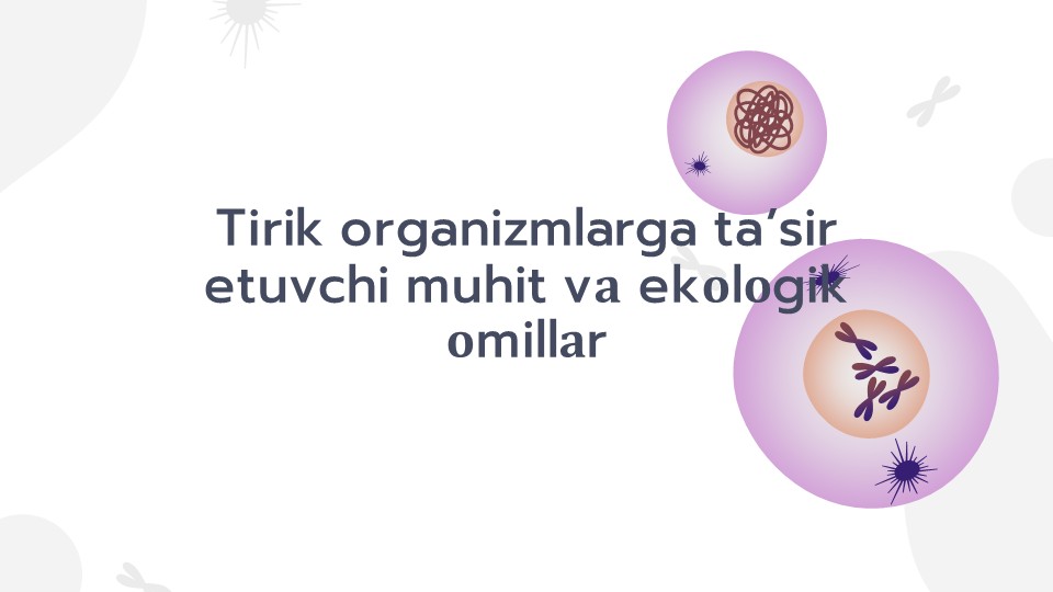 Tirik organizmlarga ta'sir etuvchi ekologik omillar_main Tirik organizmlarga ta'sir etuvchi ekologik omillar