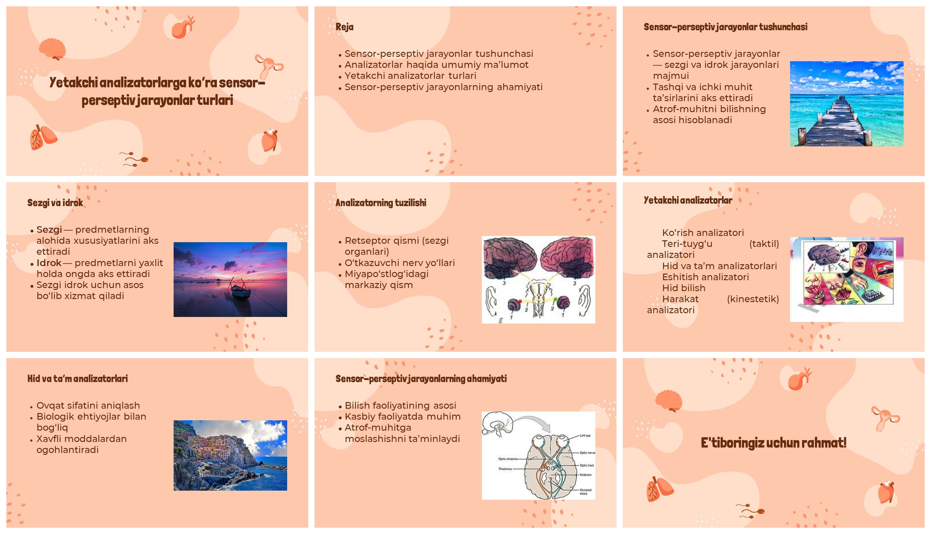 Yetakchi analizatorlar bo‘yicha sensor-perseptiv jarayonlar