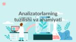 Analizatorlarning tuzilishi va ahamiyati