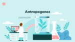 Antropogenez
