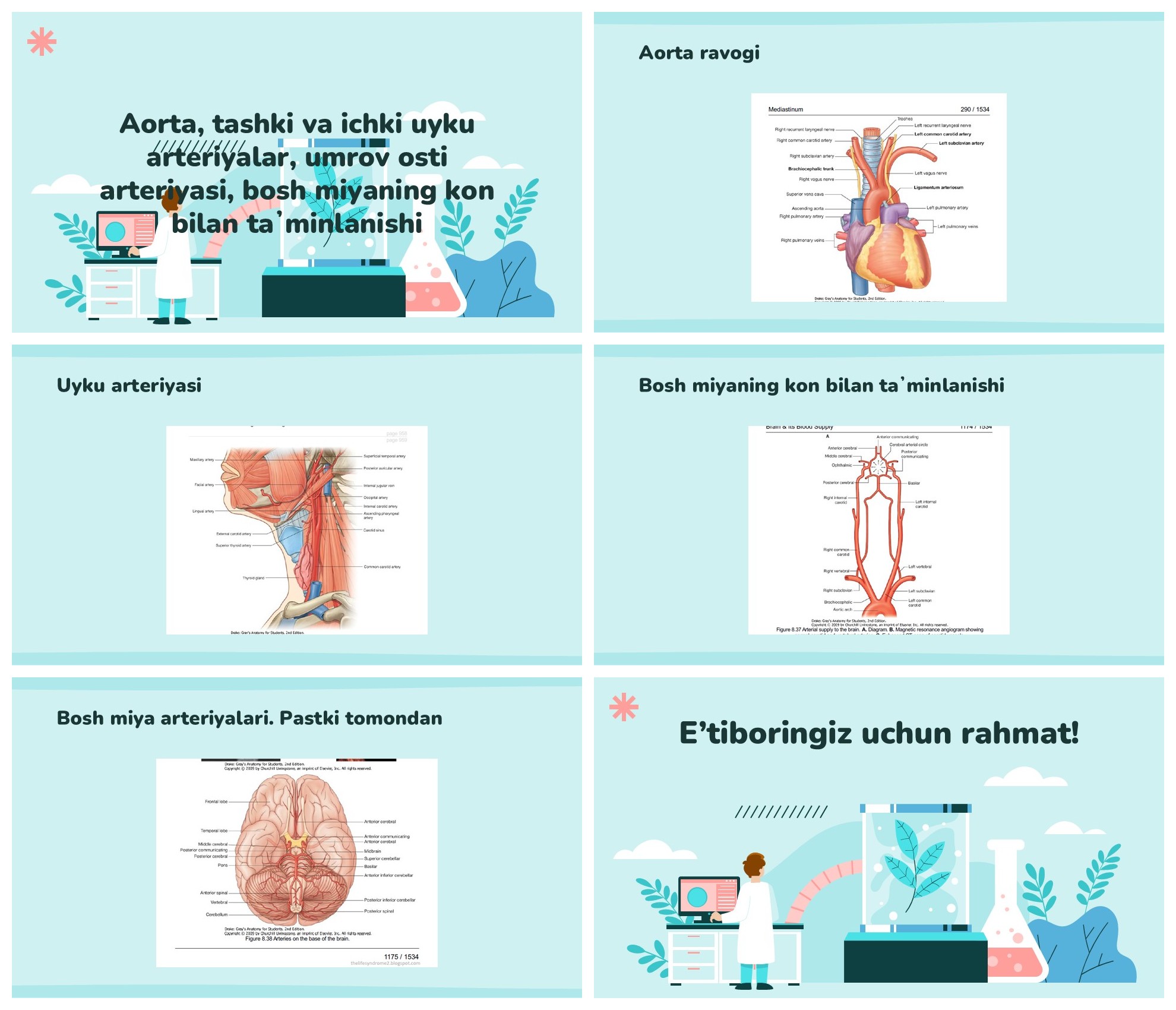 Aorta, tashki va ichki uyku arteriyalar, umrov osti arteriyasi, bosh miyaning kon bilan ta’minlanishi