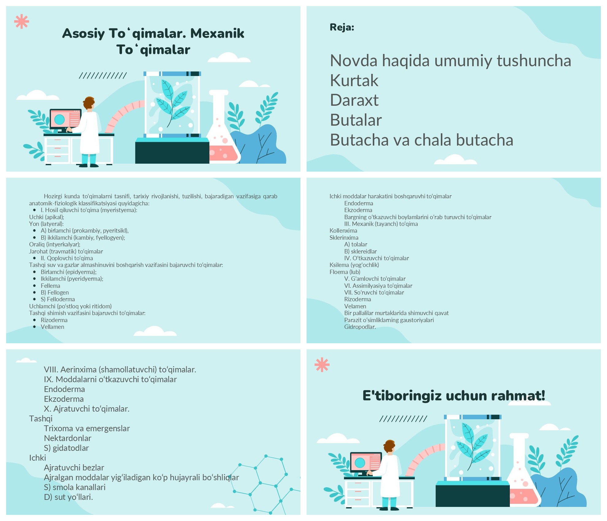 Asosiy to‘qimalar va mexanik to‘qimalar