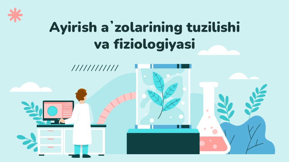 Ayirish a'zolarining tuzilishi va fiziologiyasi_main Ayirish a'zolarining tuzilishi va fiziologiyasi