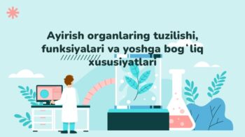 Ayirish organlaring tuzilishi, funksiyalari va yoshga bog'liq xususiyatlari