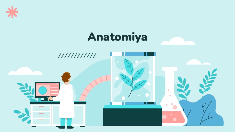 A’zo ichki topografik anatomiyasi_main A’zo ichki topografik anatomiyasi